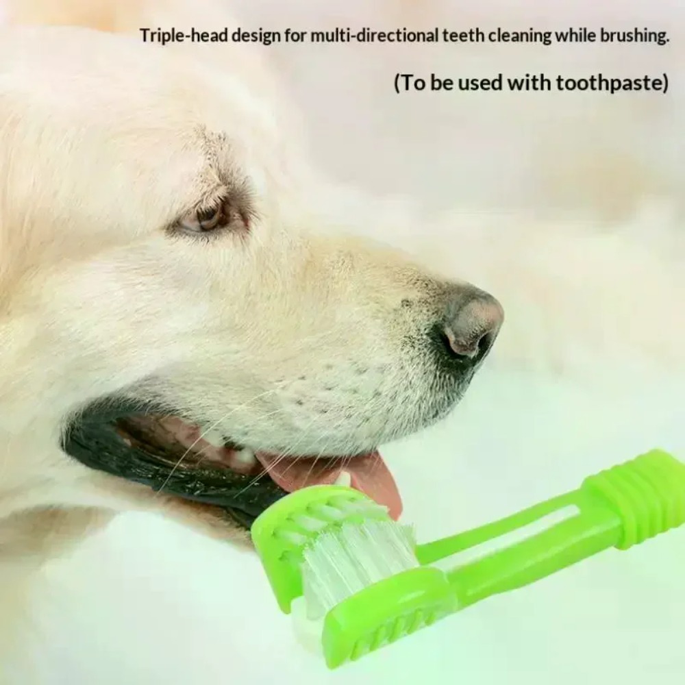 Трехсторонняя зубная щетка для – обзор и цена Teeth Whitening Brush